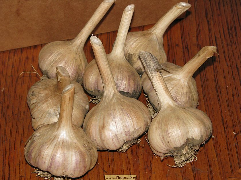 Locally Grown Garlic - 1 pound